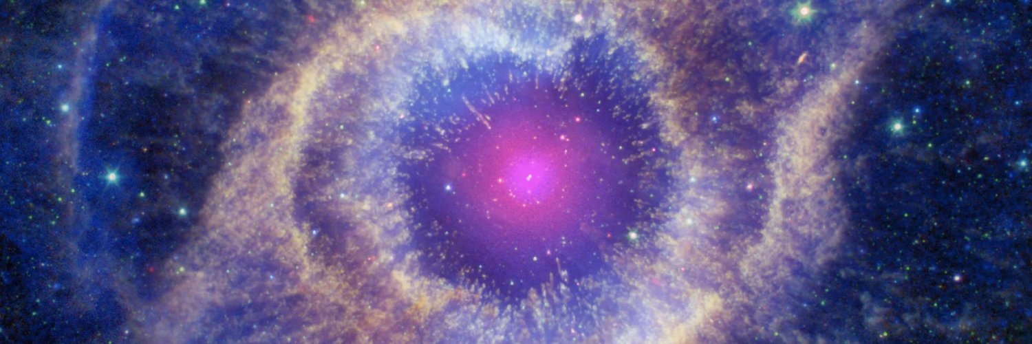 elenahitomi's profile banner image