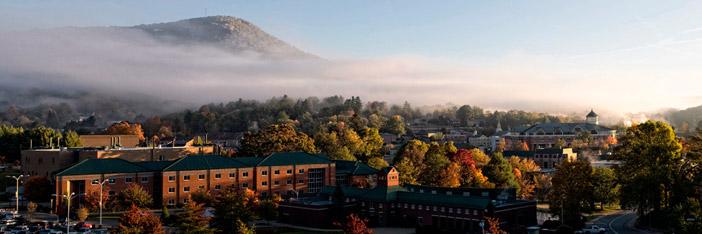 Stephanie Walker banner