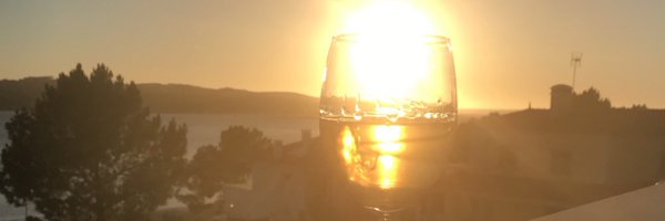 TheCat_Max Profile Banner