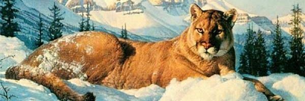 THEREALLADYREDD's profile banner image