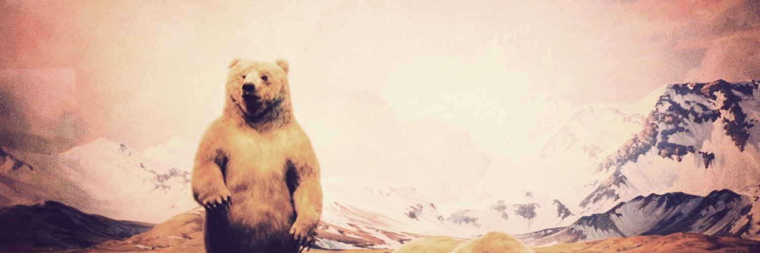 BecksAppleby's profile banner image