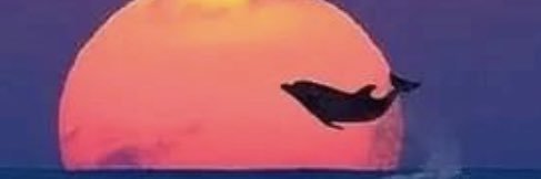 MichaelPascal15's profile banner image