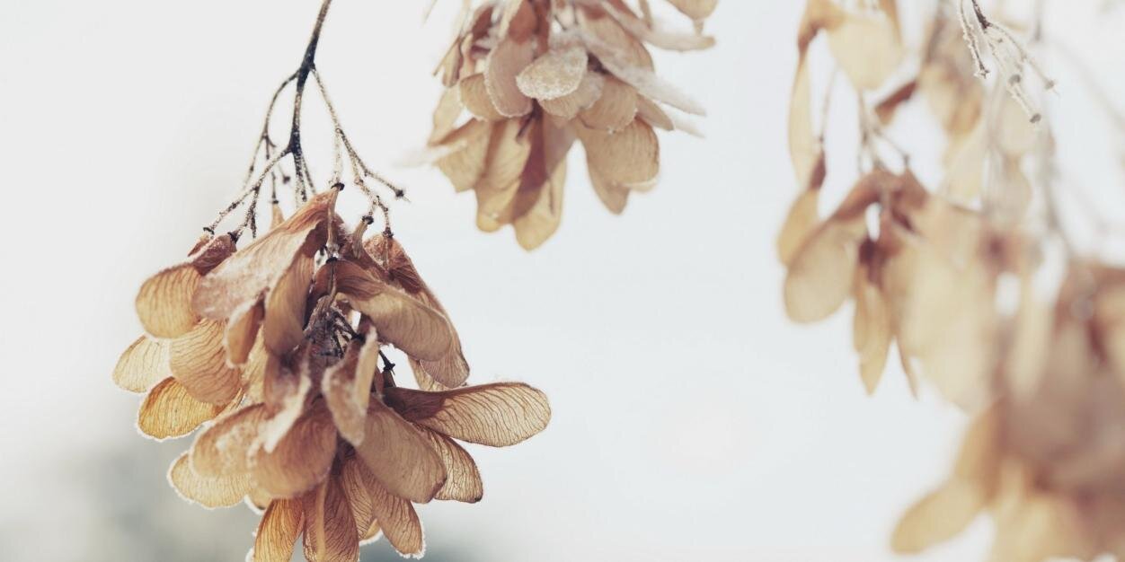 dinukajanith's profile banner image