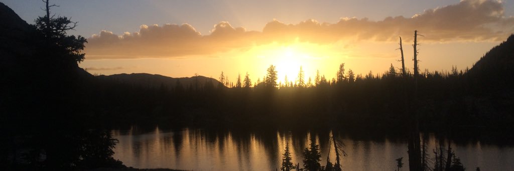 utfisher's profile banner image
