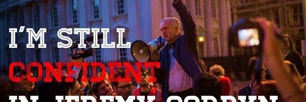 trees0106 Profile Banner