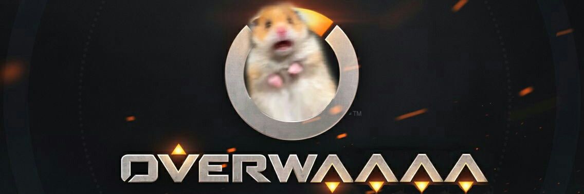 Onesphoro's profile banner image