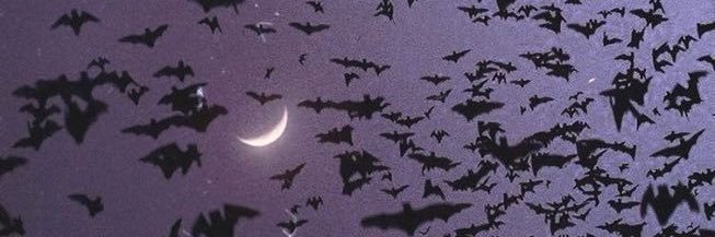 𝔅𝔢𝔫𝔢 🗡️🦇⛓️ banner