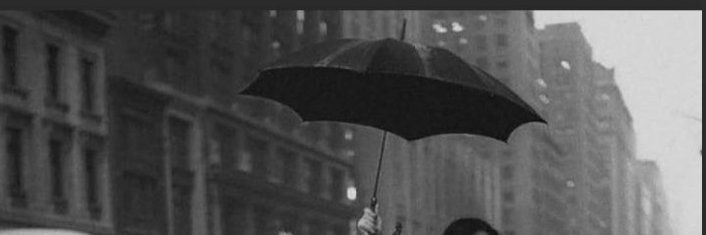 ameixar's profile banner image