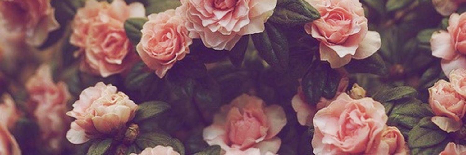 radenafri's profile banner image