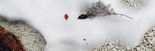 reinraud Profile Banner