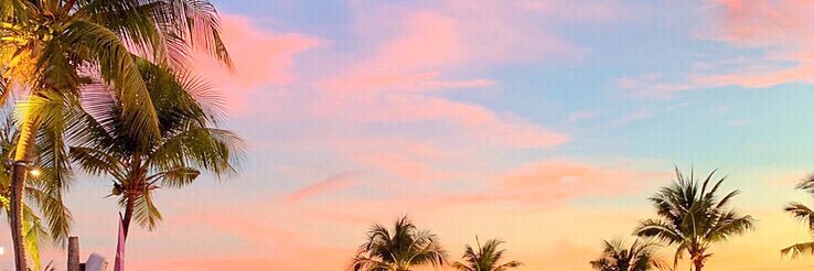 SUNDAY banner