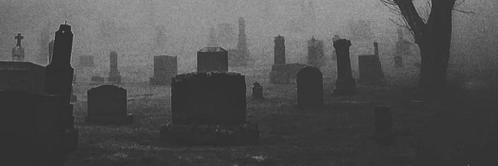 VitalSkull's profile banner image