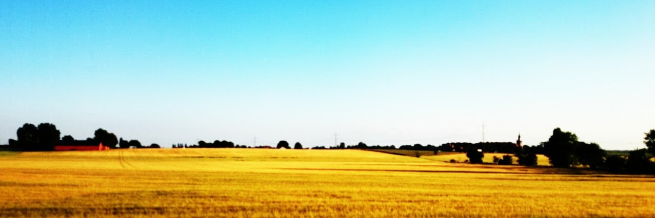 Michael Larsen banner