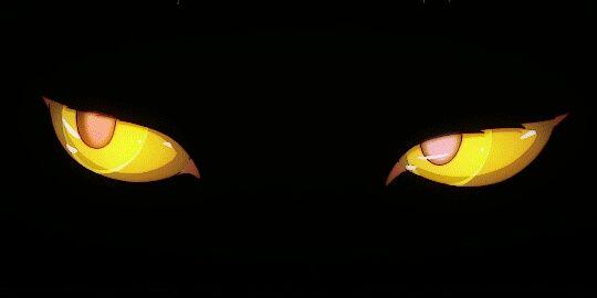 EntropyChronos's profile banner image
