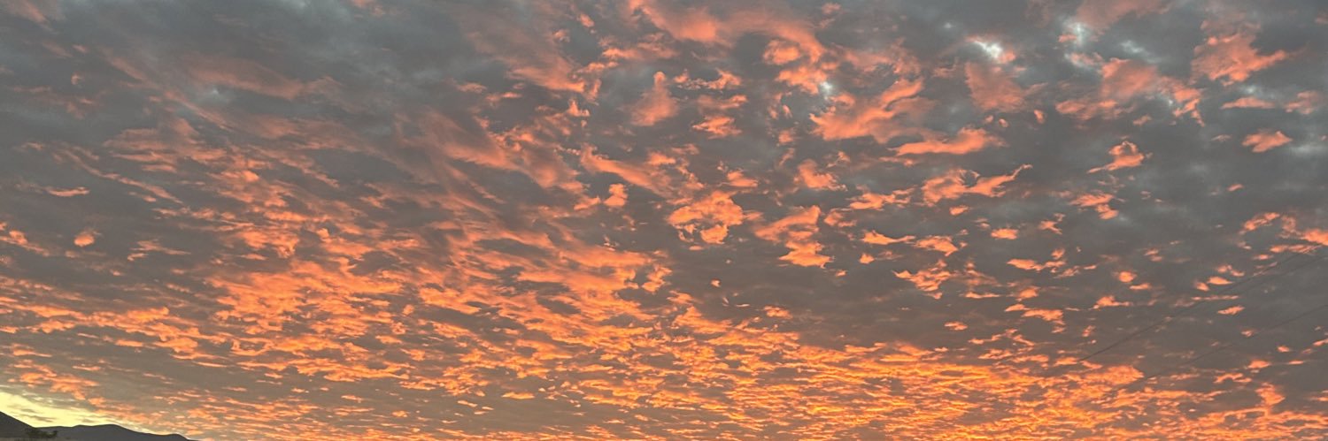 TylerHSchooley's profile banner image