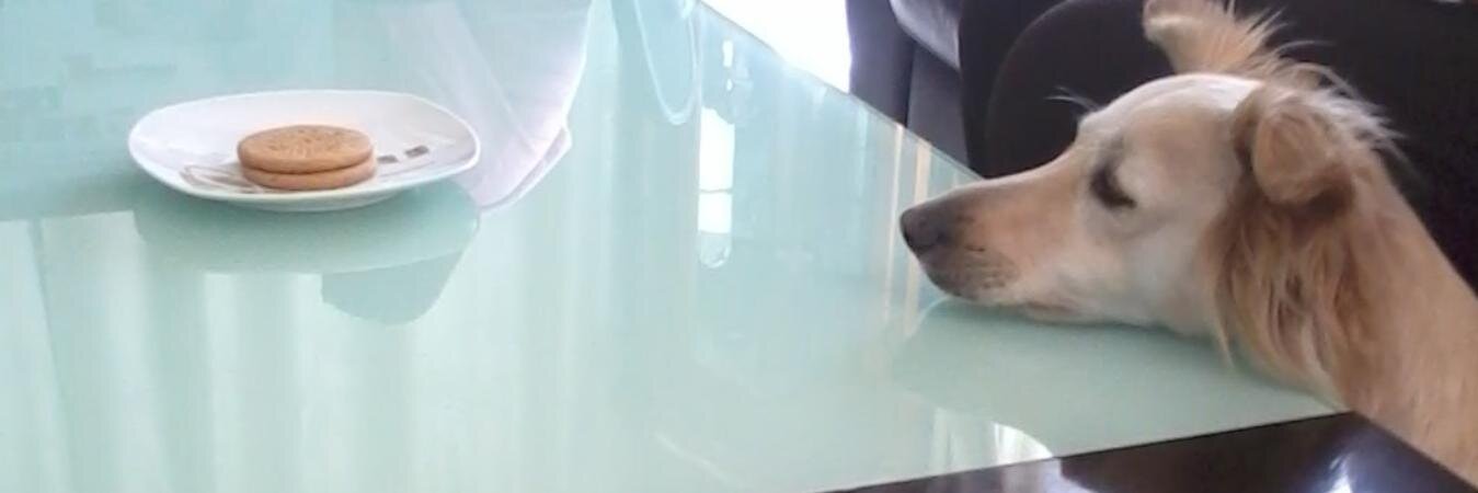laineychr's profile banner image