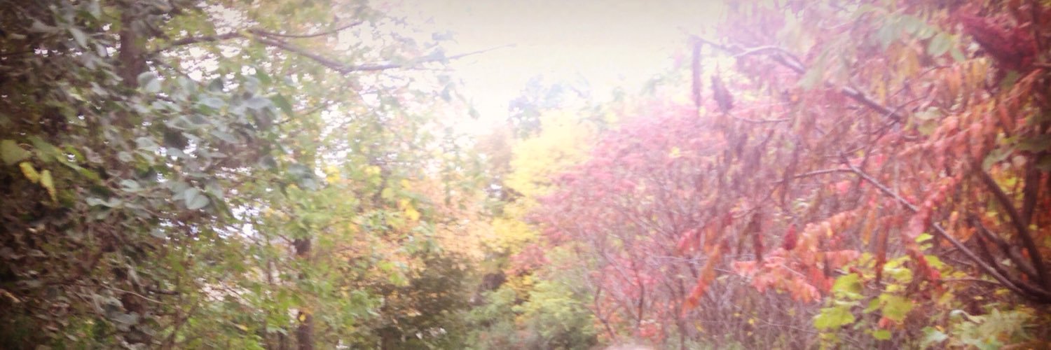 cathybirkas's profile banner image