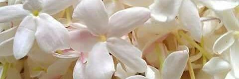 ammar7691's profile banner image