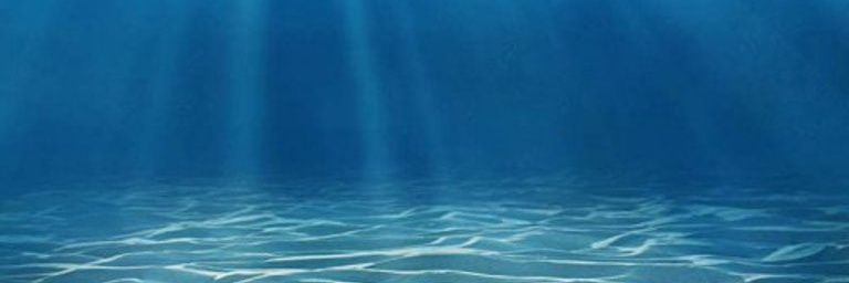 tweettledumb's profile banner image