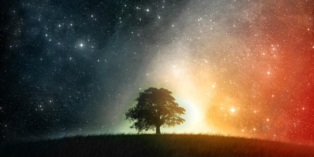 عَديّ بن محمّد banner