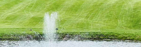 CStumpRun Profile Banner
