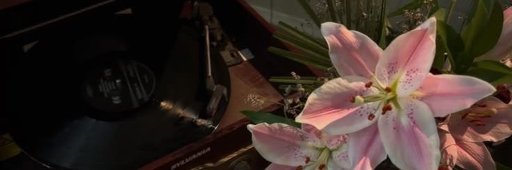 badvam_'s profile banner image