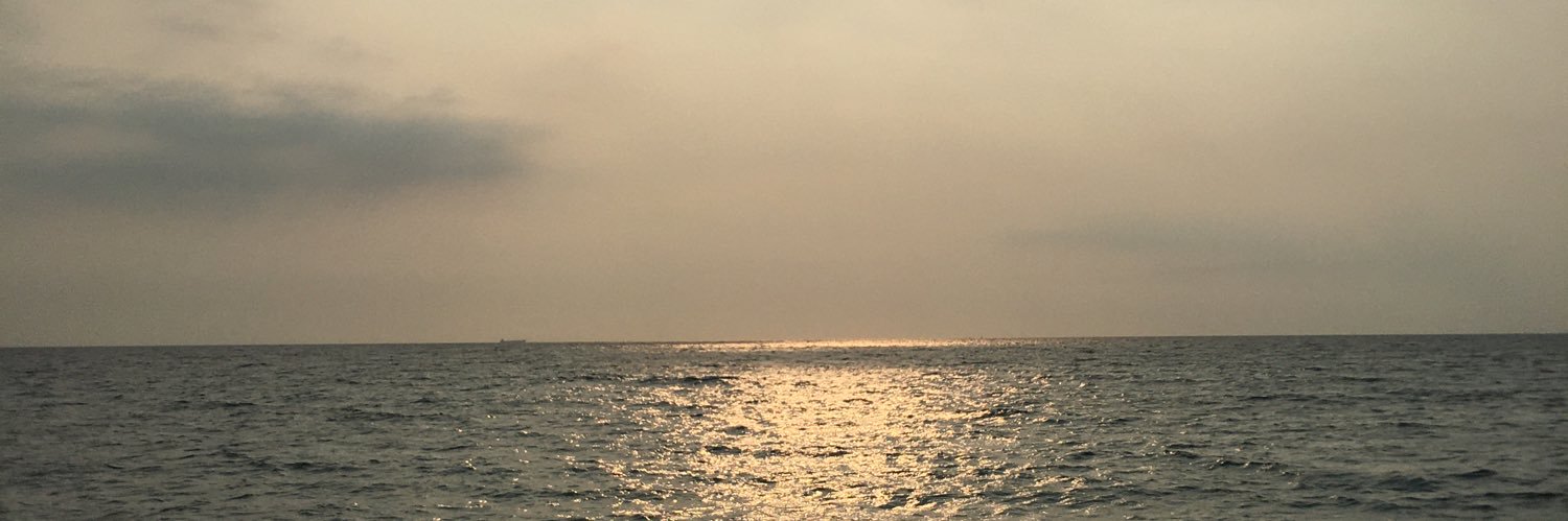 marklestergn's profile banner image