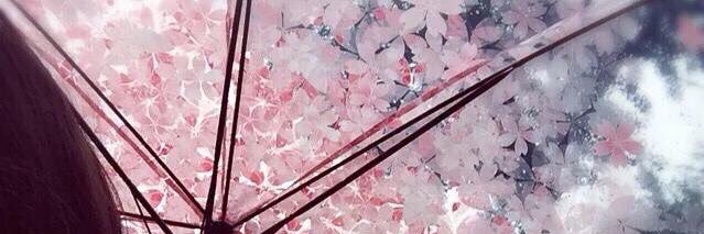 am_sgn's profile banner image