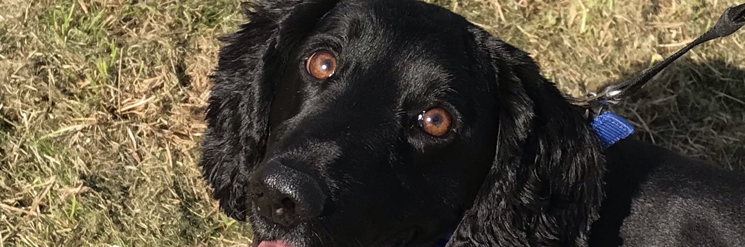 joespectron's profile banner image