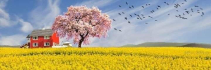 serserif's profile banner image