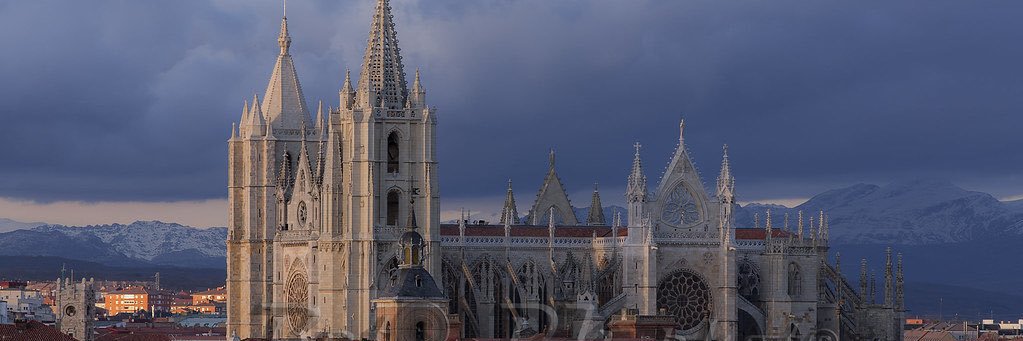 lamm6919's profile banner image
