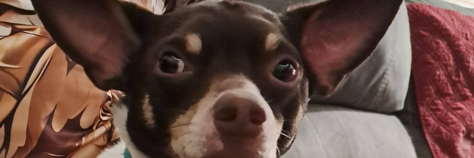 scenicrobbie68 banner