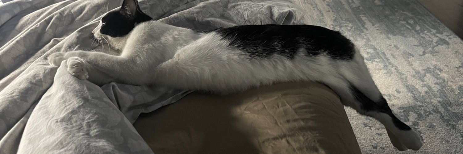 marissebf's profile banner image