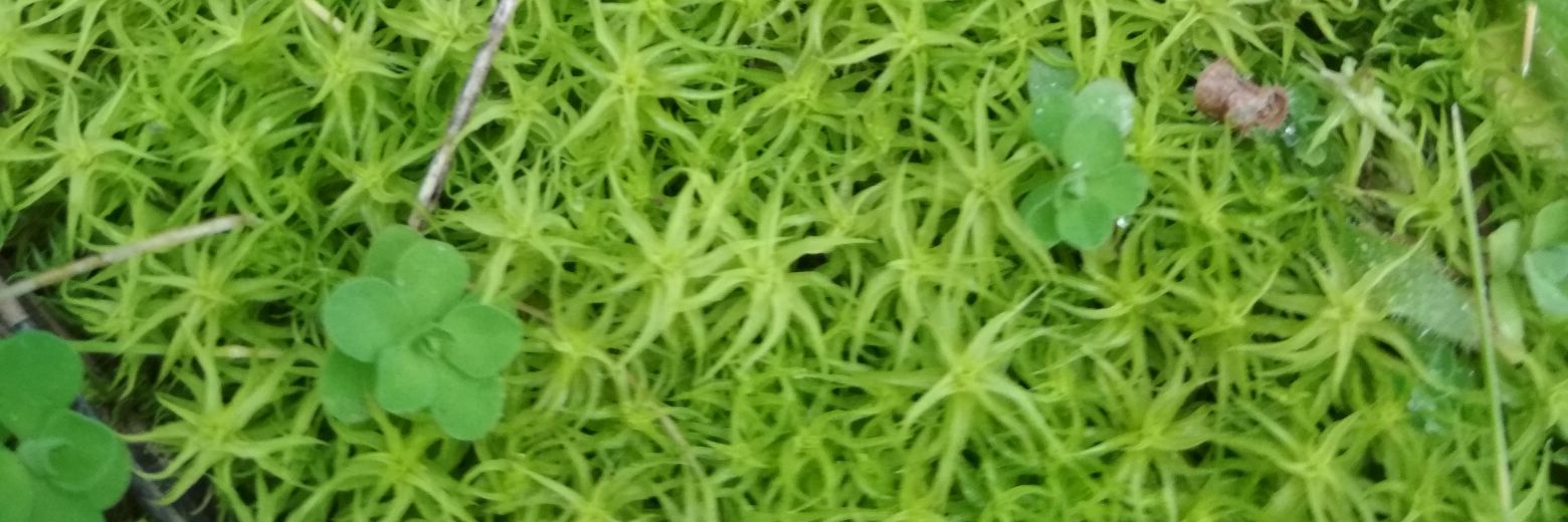 clarafc9's profile banner image