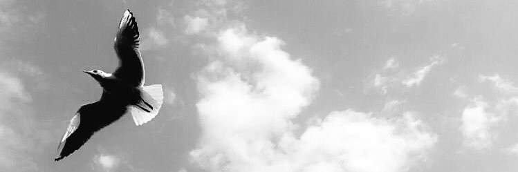 Kamanosey's profile banner image