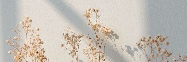 arinyptr's profile banner image