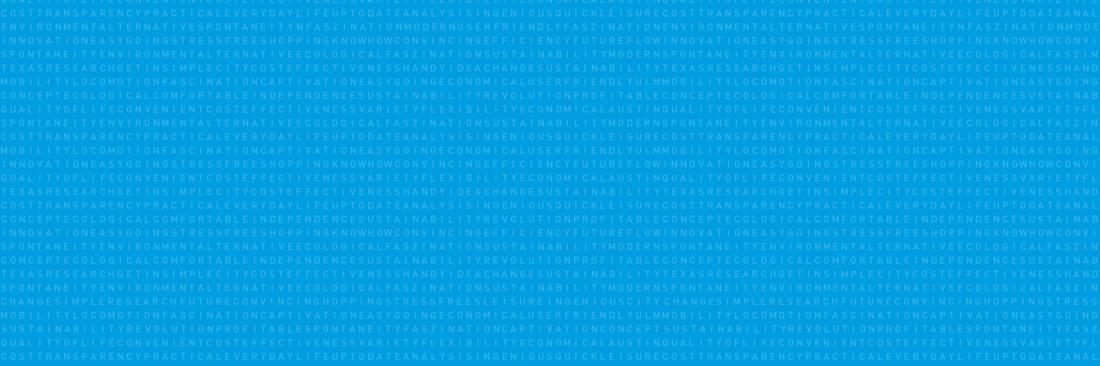 car2gosupport banner