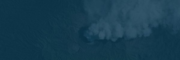 turfjs Profile Banner