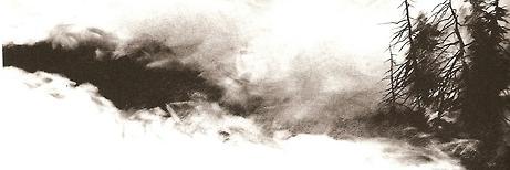 wendigosays's profile banner image