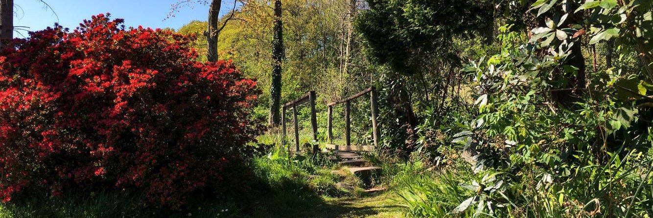 BowerHouseInn's profile banner image