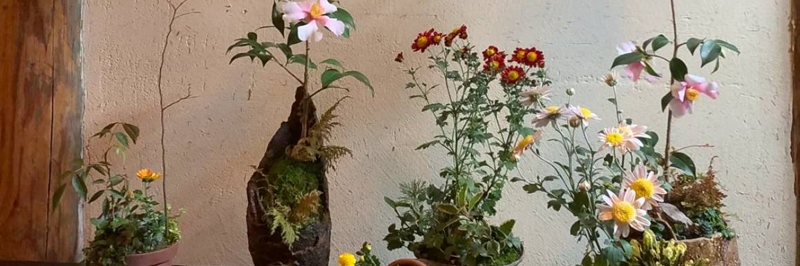 NellHowse's profile banner image