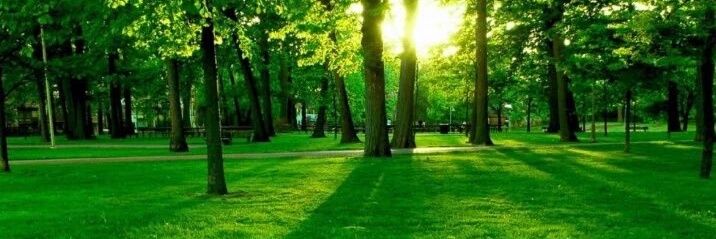 basmat_leqa's profile banner image