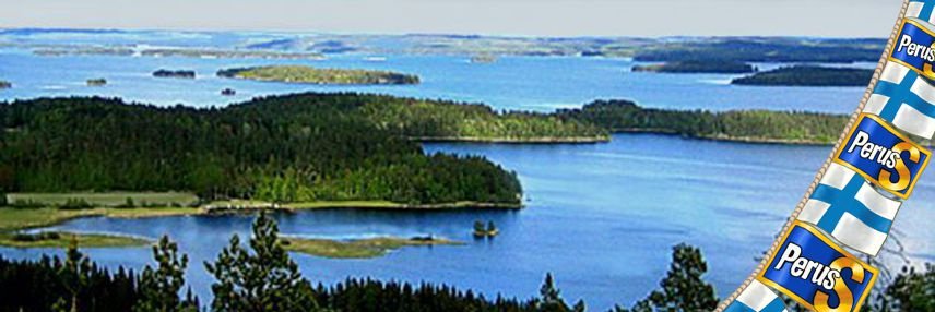 Toimi Kankaanniemi banner
