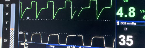 baldo_lb Profile Banner