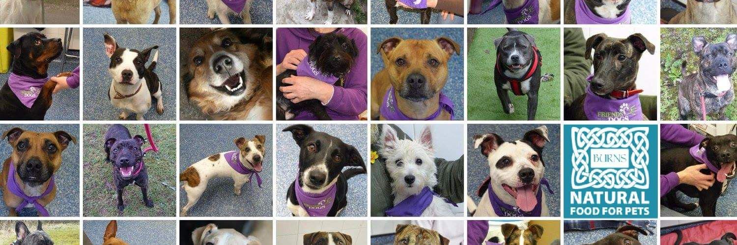 Friends of the Dogs banner