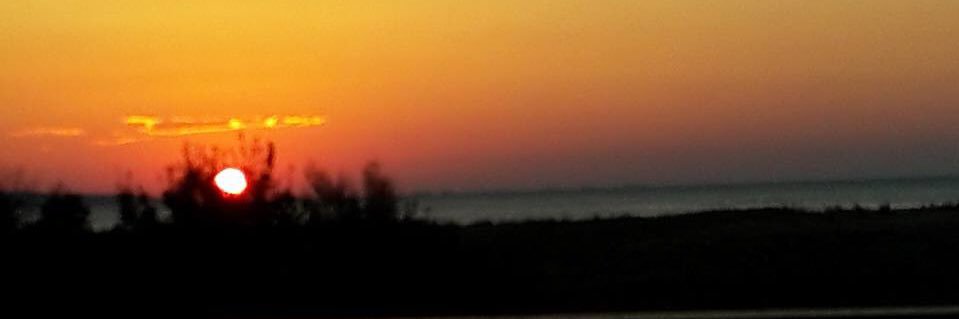 HandanErim_'s profile banner image