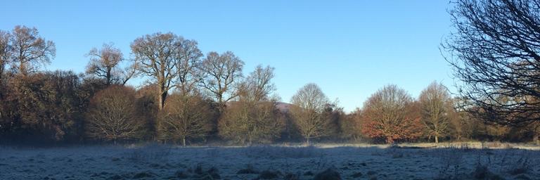 Matthew Blaney banner