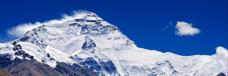JacquelineMosd1's profile banner image