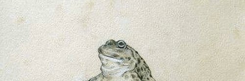 NorrisPorridge's profile banner image