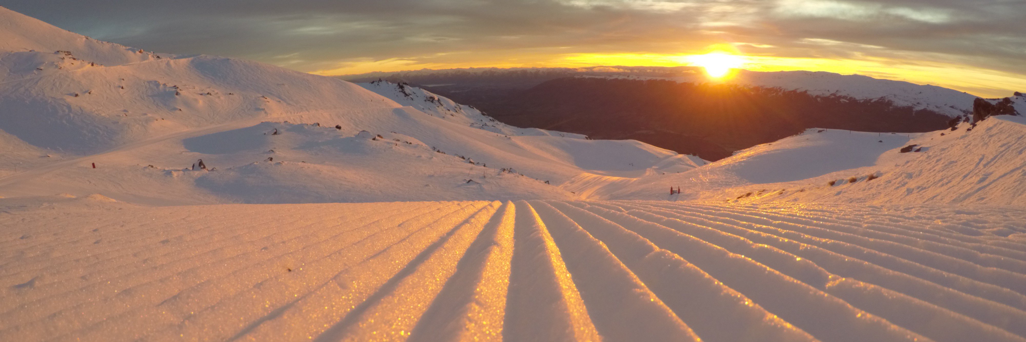 Edringwood's profile banner image